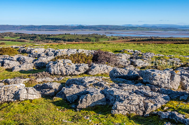 英国湖区景观- Birkrigg Common和Morecambe Bay